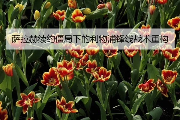 萨拉赫续约僵局下的利物浦锋线战术重构