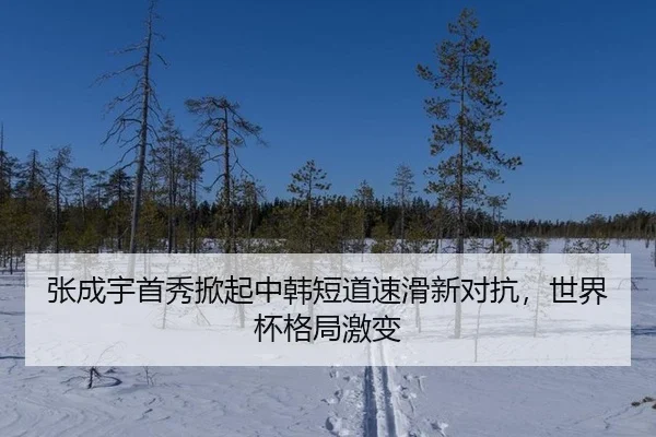 张成宇首秀掀起中韩短道速滑新对抗，世界杯格局激变